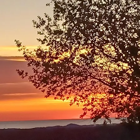 Tatil Evi Rustica