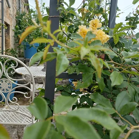 Rustica Stifanići